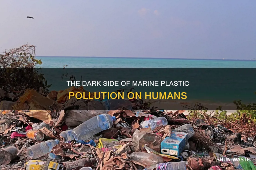 how does marine plastic pollution affect humans