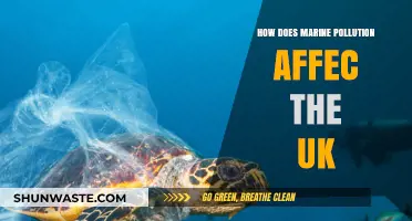 UK's Marine Pollution: Understanding the Impact