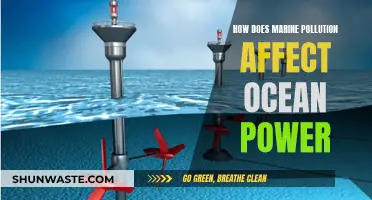 Ocean Power: Impact of Marine Pollution