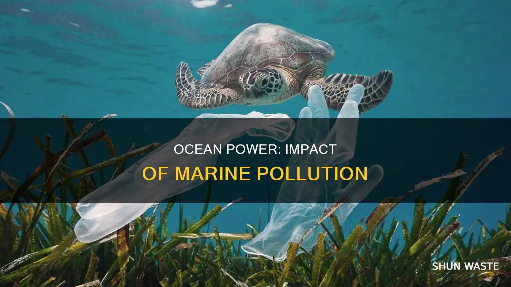 how does marine pollution affect ocean power