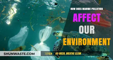 Marine Pollution's Devastating Impact on Our Fragile Ecosystems and Planet