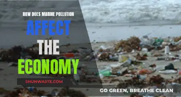 Marine Pollution's Economic Impact: A Costly Affair