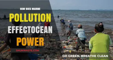 Ocean Power: Impact of Marine Pollution
