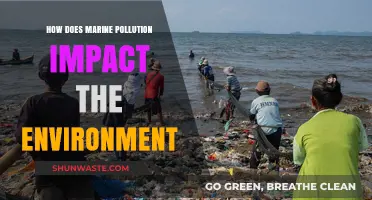 Marine Pollution: Devastating Impact on the Environment