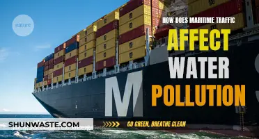 Maritime Traffic's Impact on Water Pollution