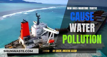 Sailing into Trouble: How Maritime Traffic Fuels Water Pollution