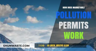 Understanding Marketable Pollution Permits: How Do They Work?