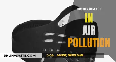 Protecting Against Pollution: Do Masks Really Help?