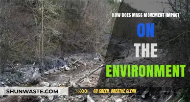 Mass Movement's Environmental Impact: Causes, Effects, and Sustainable Solutions