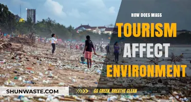 Mass Tourism's Environmental Impact: Challenges and Sustainable Solutions