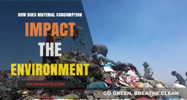 Material Consumption's Environmental Toll: Uncovering the Hidden Ecological Costs