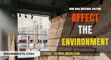 Material Culture's Environmental Impact: Shaping Our Planet Through Human Choices