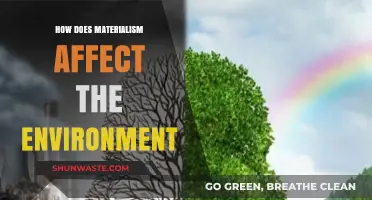 Materialism's Environmental Impact: Unsustainable Consumption and Planetary Consequences Explored