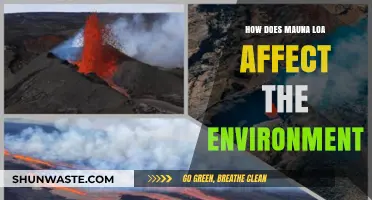 Mauna Loa's Environmental Impact: Climate, Biodiversity, and Ecosystem Changes