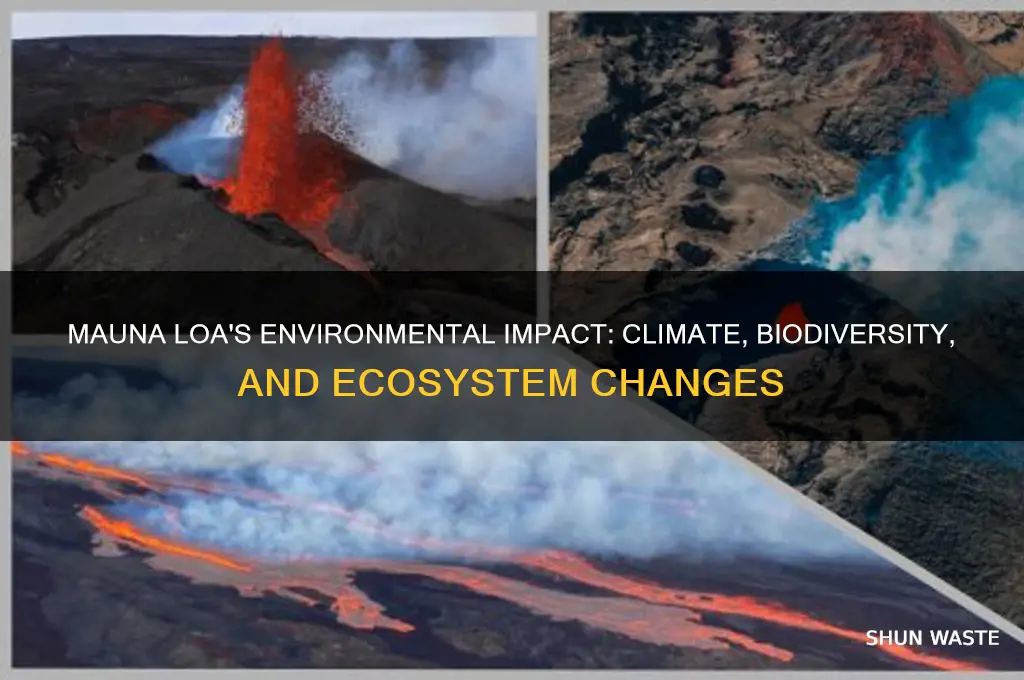 how does mauna loa affect the environment