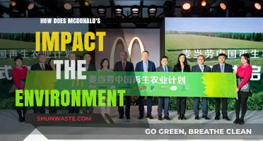 McDonald's Environmental Footprint: Impact, Challenges, and Sustainable Solutions