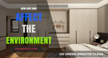 MDF's Environmental Impact: Sustainability, Production, and Eco-Friendly Alternatives