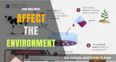 Meat's Environmental Impact: Uncovering the Hidden Costs of Consumption
