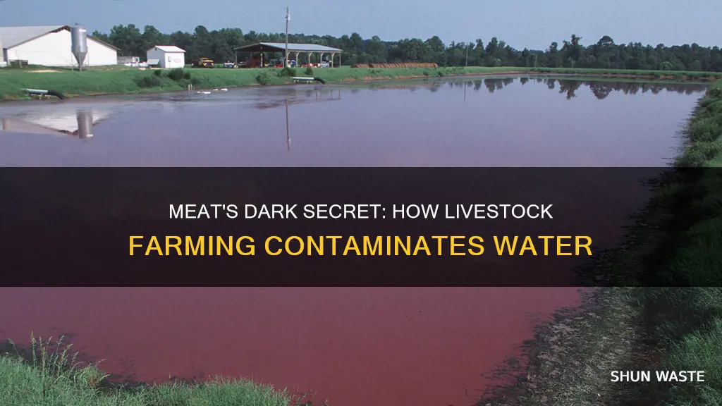 how does meat farming pollute water