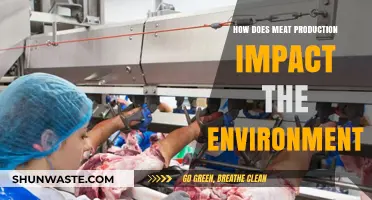 Meat Production's Environmental Impact: Climate, Land, and Resources Explained