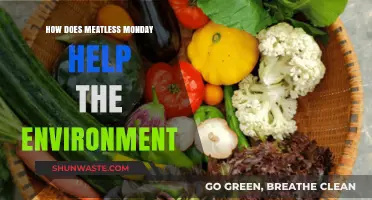 Meatless Monday: A Simple Step for a Greener Planet
