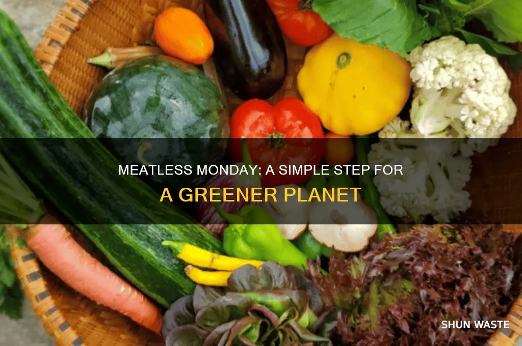 how does meatless monday help the environment