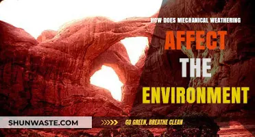 Mechanical Weathering's Impact: Shaping Landscapes and Ecosystems Over Time