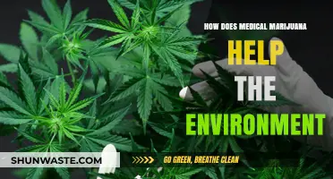 Green Medicine: How Medical Marijuana Benefits Our Environment