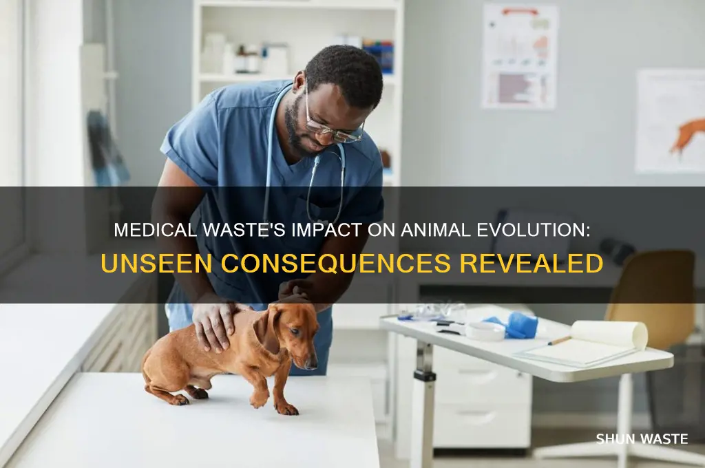 how does medical waste affect the evolution of animals