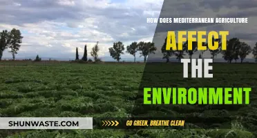Mediterranean Agriculture's Environmental Impact: Challenges and Sustainable Solutions