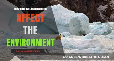 Melting Glaciers: Environmental Impacts and Global Consequences Explained