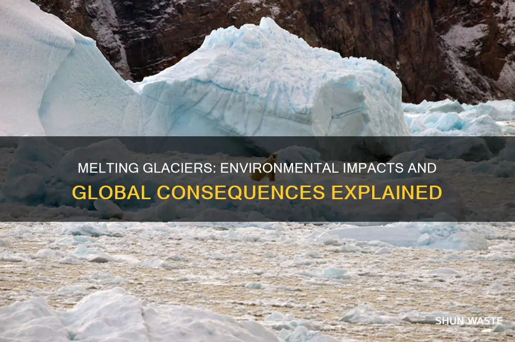 how does melting glaciers affect the environment