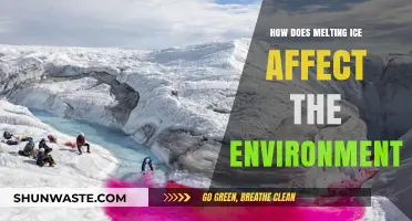 Melting Ice: Environmental Impacts and Global Consequences Explained