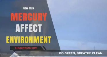 Mercury's Environmental Impact: Pollution, Poisoning, and Ecosystem Destruction Explained