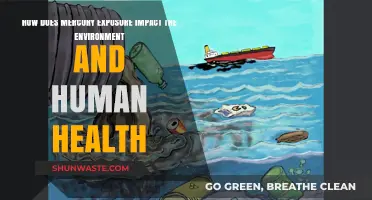 Mercury's Toxic Reach: Environmental and Human Health Consequences Explained