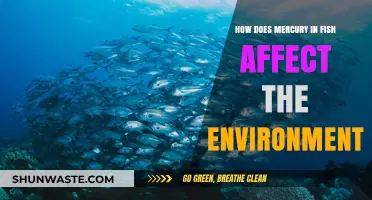 Mercury in Fish: Environmental Impacts and Ecosystem Disruption Explained