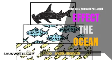 Mercury Pollution: Ocean's Silent Killer