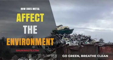 Metal's Environmental Impact: Pollution, Recycling, and Sustainable Solutions Explored