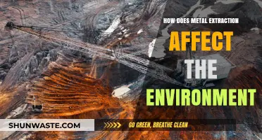 Metal Extraction's Environmental Impact: Pollution, Deforestation, and Ecosystem Destruction