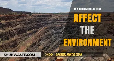 Metal Mining's Environmental Impact: Destruction, Pollution, and Ecosystem Disruption Explained