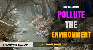 Metal Pollution: Environmental Impact and Toxic Legacy