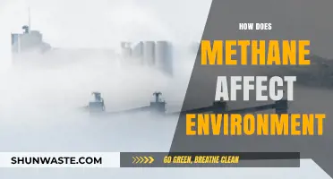 Methane's Environmental Impact: Climate Change, Ecosystems, and Global Warming