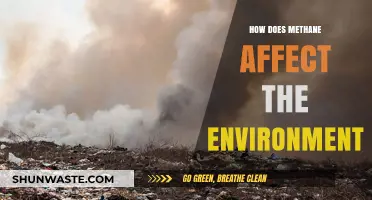 Methane's Environmental Impact: Climate Change, Ecosystems, and Global Warming