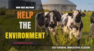 Methane's Surprising Role: Boosting Environmental Health and Sustainability