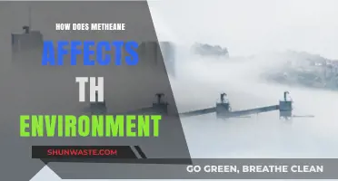 Methane's Environmental Impact: Causes, Effects, and Solutions Explained