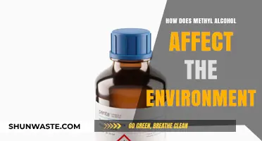Methyl Alcohol's Environmental Impact: Pollution, Ecosystem Disruption, and Toxicity