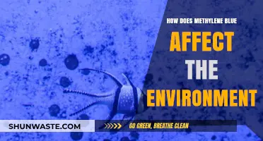 Methylene Blue's Environmental Impact: Risks, Effects, and Ecological Concerns