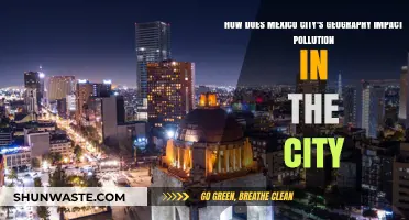 Mexico City's Geography and Pollution: A Complex Relationship