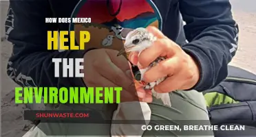 Mexico's Green Initiatives: Protecting Biodiversity and Combating Climate Change