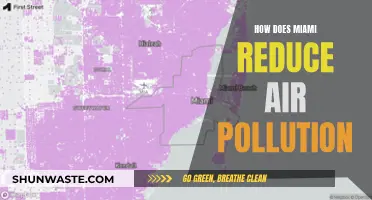 Miami's Strategies to Reduce Air Pollution